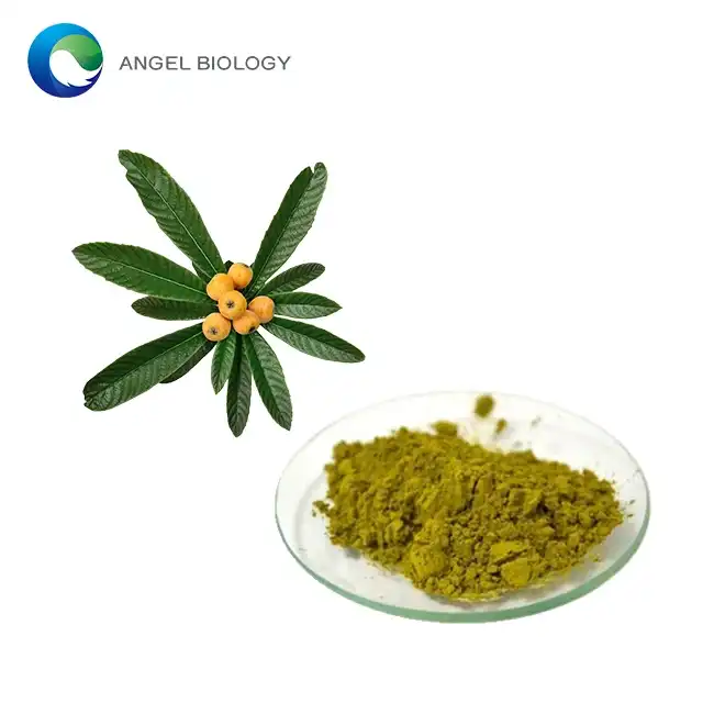 What is Loquat Leaf Extract Powder used for?